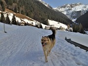 11 Bello pestare la morbida fresca neve alla Madonna delle nevi